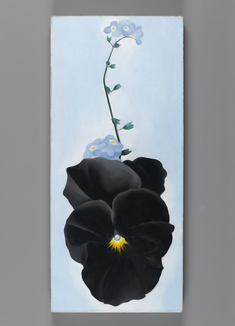 Georgia O’Keeffe (American, 1887‒1986). Black Pansy & Forget-Me- ￼Nots (Pansy), 1926. Oil on canvas, 271⁄8 x 121⁄4 in. (68.9 x 31.1 cm). ￼Brooklyn Museum, Gift of Mrs. Alfred S. Rossin, 28.521. © Georgia ￼O’Keeffe Museum/Artists Rights Society (ARS), New York. (Photo: ￼Brooklyn Museum)